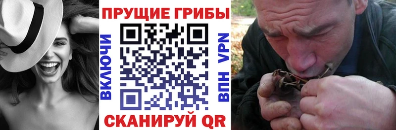 как найти наркотики  MEGA   Псилоцибиновые грибы GOLDEN TEACHER  Суоярви 