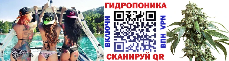 Каннабис семена  Суоярви 
